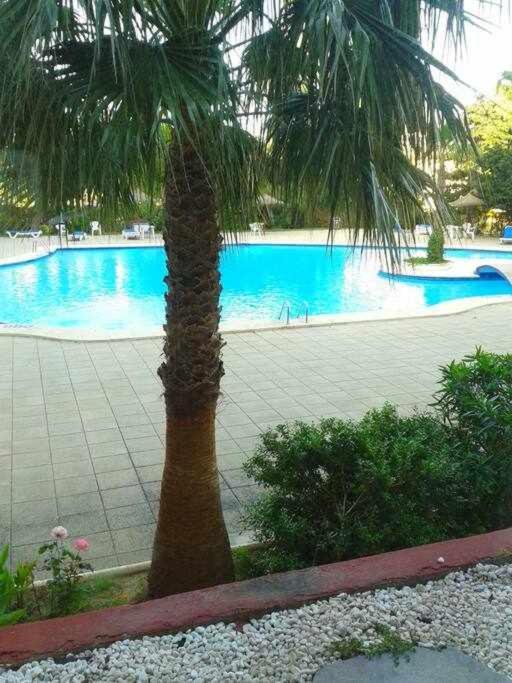 Апартаменты Piso Moderno Con Piscina Siesta 2 Порто де Алькудиа Экстерьер фото